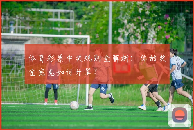 体育彩票中奖规则全解析：你的奖金究竟如何计算？