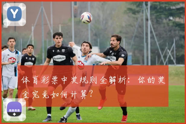体育彩票中奖规则全解析：你的奖金究竟如何计算？