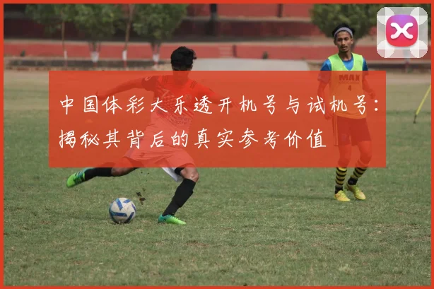 中国体彩大乐透开机号与试机号：揭秘其背后的真实参考价值